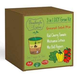 3 In 1 DIY Grow Kit 