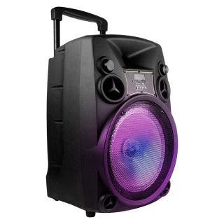 BT918 Wireless BT Trolley Speaker 80w RMS 