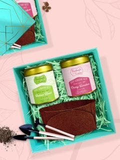 Eco Friendly Gift Hamper