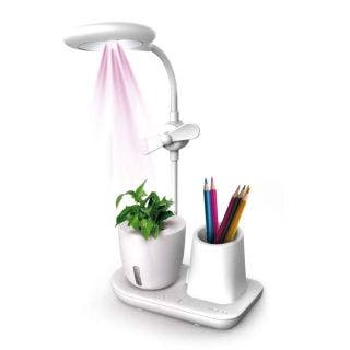 Grow Station, Desk Lamp with UV Light Plant Pot Holder ,Table Lamps with Adjustable Brightness Fan, Smartphone Holder USB Output Port Oxygen Booster Xech