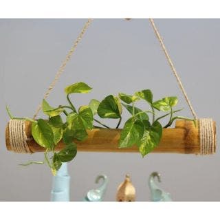 Bamboo Hanging Planters 