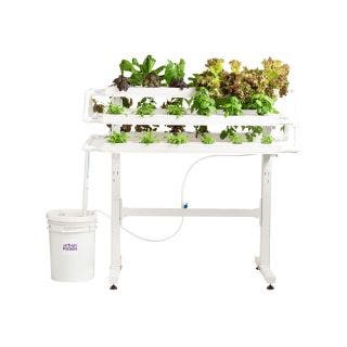 Urban Kisaan- Home Kit 18- The Urban Kisaan 18 plant kit is perfect for feeding a family of 2 and fits expediently in balconies.