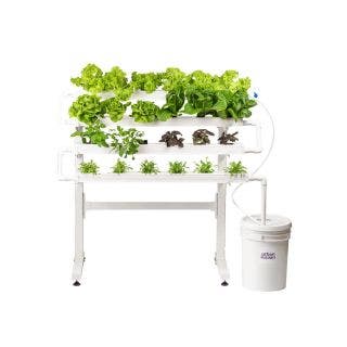 Urban Kisaan- Home Kit 24- The Urban Kisaan 24 plant kit is perfect for feeding a family of 2 and fits expediently in balconies.