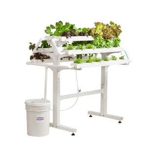 Urban Kisaan- home Kit 36- The Urban Kisaan 36 plant kit is perfect for feeding a family of 2 and fits expediently in balconies.