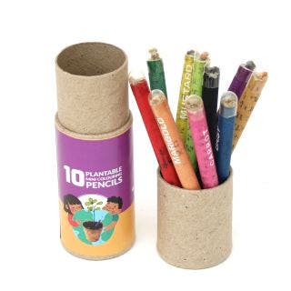 10 mini Colouring Seed Pencils BioQ