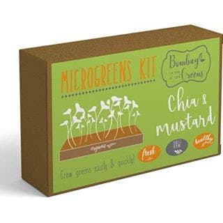 DIY Microgreens Kit 